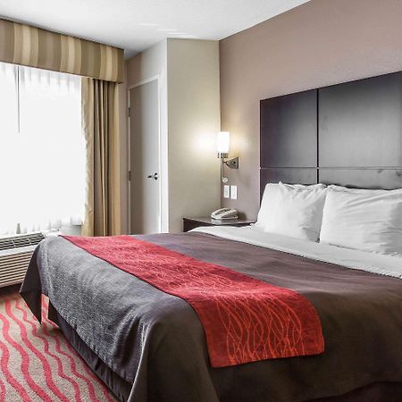 Comfort Inn Los Angeles Near Hollywood Εξωτερικό φωτογραφία