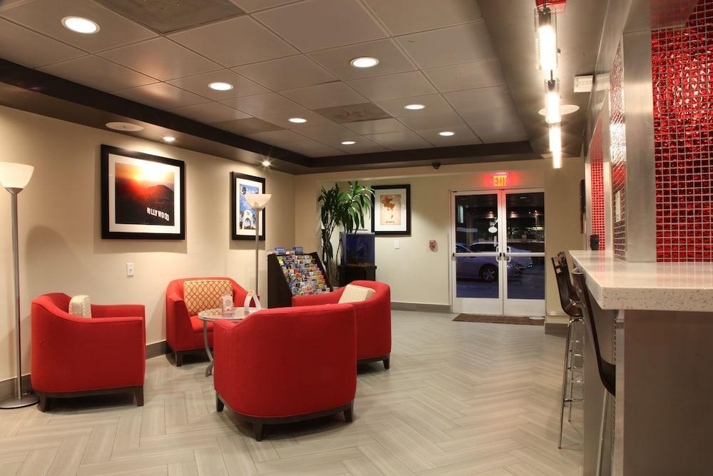 Comfort Inn Los Angeles Near Hollywood Εξωτερικό φωτογραφία